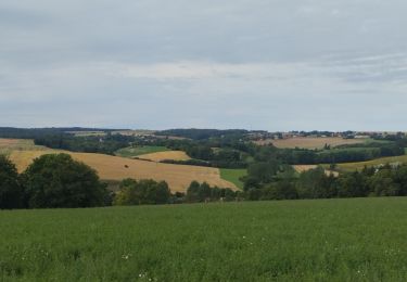 Randonnée Marche Leffonds - Leffonds - Photo