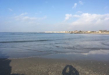 Trail Walking Agde - Grau d’Agde - Photo