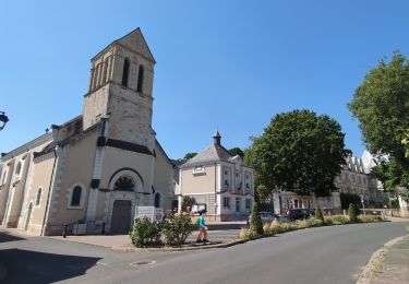Percorso Marcia Reignac-sur-Indre - Reignac-sur-Indre - Cigogné - 15.6km 120m 4h10 (55mn) - 2025 06 18 - Photo