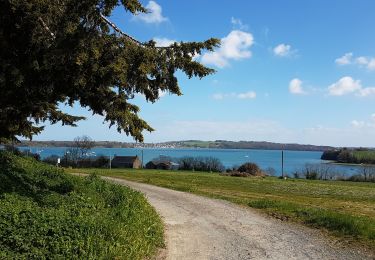 Excursión Senderismo Le Minihic-sur-Rance - notre dame de la miette  - Photo