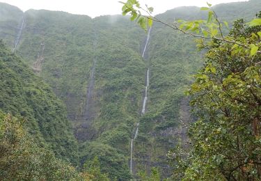 Percorso Marcia Saint-Benoît - Grand étang et cascades du bras d'Annette - Photo