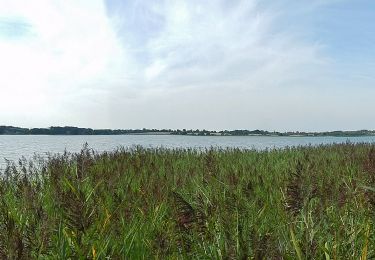 Tocht Te voet Scharbeutz - Scharbeutzer Heide kurz - Photo