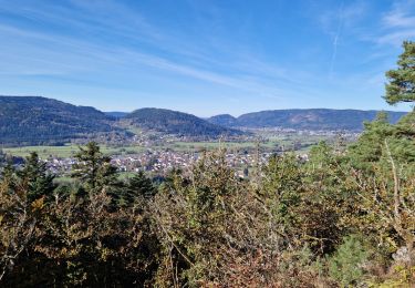 Trail Walking Gerbamont - Le Mettey - Photo