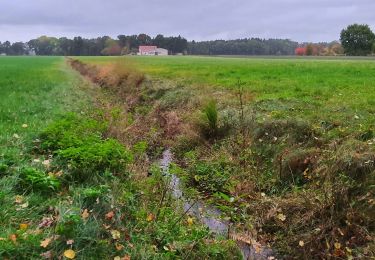 Tour Zu Fuß Fintel - Nordpfad 'Osterberg' - Photo