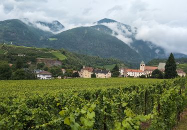 Trail Walking Brixen - Bressanone - Eisacktaler Weinwanderweg - Kloster Neustift - Photo