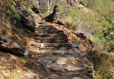 Trail Walking Villefort - LAC DE VILLEFORT ET CHAPELLE SAINT-LOUP - Photo