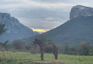 Tour Wandern Valflaunès - Les crêtes de l’Hortus à partir de Valflaunes - Photo