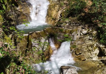 Trail Walking Saint-Vincent-de-Mercuze - Cascades de l'Alloix - Photo