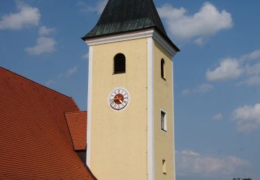 Percorso A piedi Nittendorf - W 13 Etterzhausen - Schönhofen (Rotes Rechteck) - Photo