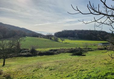 Randonnée Marche Crest - Crest à  VAUNAVEY - Photo