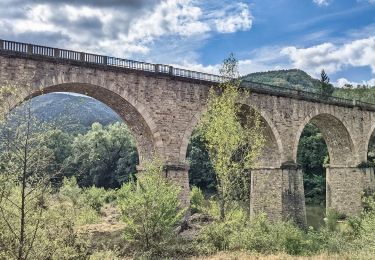 Excursión Senderismo Lavoûte-sur-Loire - lavoute sur loire boucle 11 km - Photo