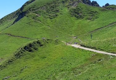 Trail Walking Mont-Dore - Descente du Sancy depuis la gare haute du téléphérique  - Photo