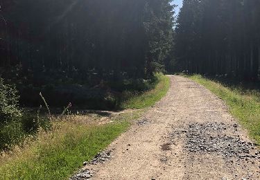 Tour Wandern Malmedy - Découverte de la Fagne par le Bayehon (déplacement en bus, retour à pieds) - Photo