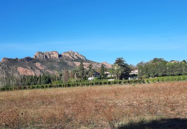 Excursión Senderismo Roquebrune-sur-Argens - Le tour du lac roco - Photo