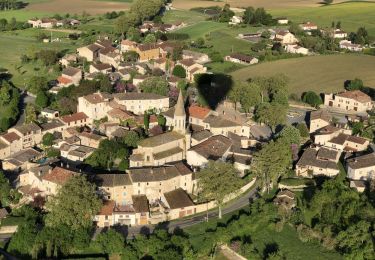 Trail Nordic walking Cestayrols - Sentier des chevaux Cestayrol - Photo