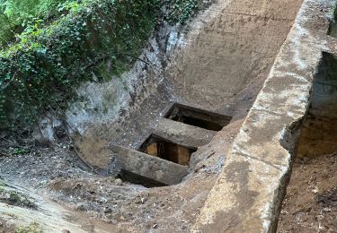 Excursión Senderismo Aubange - Bois d’Halanzy et réserve du crassier - Photo