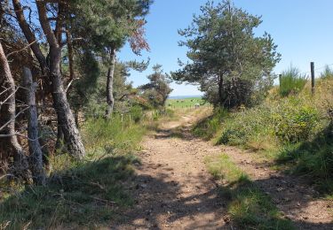 Trail Walking Saint-Pierre-de-Nogaret - nogardel in live - Photo