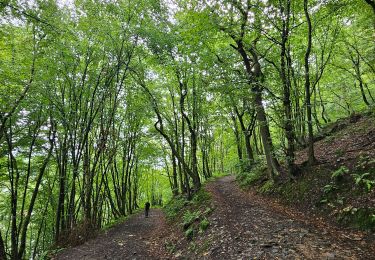 Tour Wandern Chaudfontaine - Chaudfontaine  - Bois les Dames - Photo