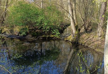 Trail Walking Erstein - ail des ours source du Bronnenwasset - Photo