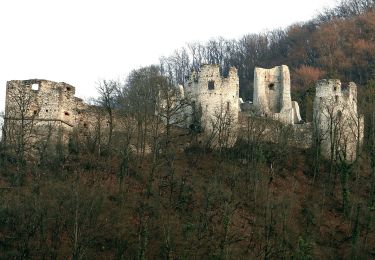 Tour Zu Fuß Samobor - Samobor (Hamor) - Slani dol - Photo