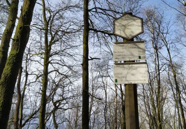 Tocht Te voet Vresse-sur-Semois - SityTrail - crêtes de chairiere - Photo