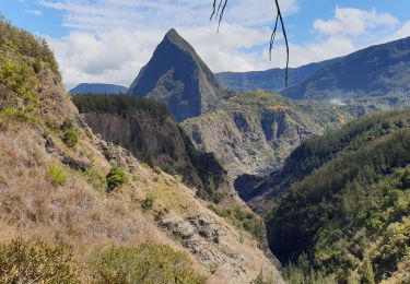 Trail Walking La Possession - ilet a Bourse - Gite du Cirque - Photo