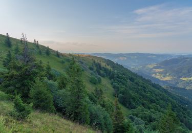 Tocht Te voet Münstertal/Schwarzwald - Untermünstertal - Hohkelch - Photo