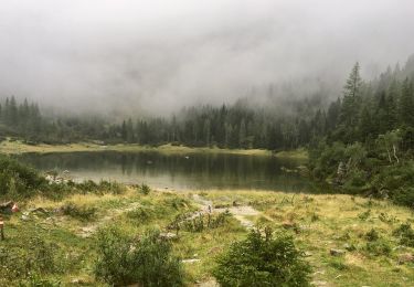 Tour Zu Fuß Hüttschlag - Naturkundlicher Lehrweg ins Schödertal - Photo