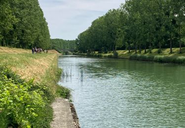 Percorso Marcia Hautvillers - Chemin par monts et par vaux - Hautvilliers - Photo