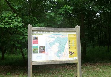 Excursión Senderismo Louviers - 20250527-foret de bord louviersbancs - Photo