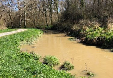 Tour Wandern Urcuit - Section GR8 Urcuit / Lahonce en A/R - Photo