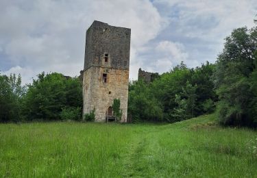 Trail Walking Lissac-sur-Couze - boucle lac de causse - Photo