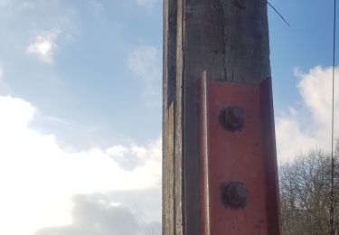 Randonnée Marche Aywaille - Du côté d'Aywaille  - Photo