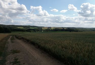 Trail Walking Anhée - Brol - Photo