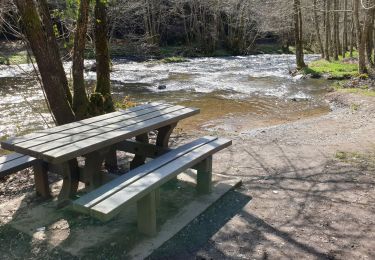 Randonnée Marche Gedinne - Balade de Vencimont à Sart-Custine - Photo