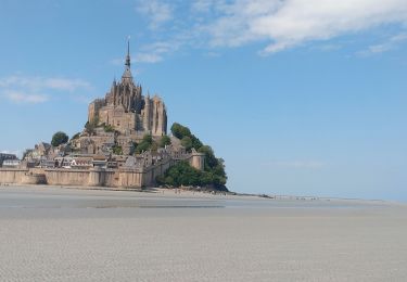 Percorso Marcia Vains - traversée de la baie Mont St Michel  - Photo