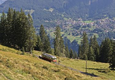 Percorso A piedi Lauterbrunnen - CH-Pletschenalp-Höhlücke - Photo