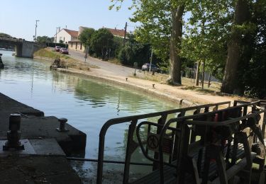 Tour Wandern Castelnaudary - Les écluses dans le 11 - Photo