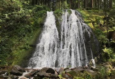 Trail Walking Vagney - La cascade du Pissoire - Photo