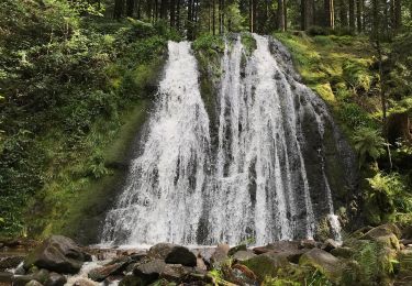 Tour Wandern Vagney - La cascade du Pissoire - Photo