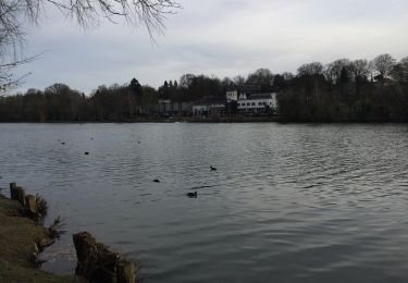 Randonnée Marche Rixensart - Au fil de l'eau, Genval-Rixensart - Photo