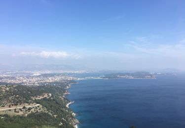 Trail Walking Six-Fours-les-Plages - Nôtre Dame du Mai au départ du Brusc  - Photo