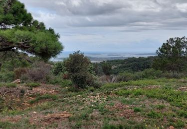 Excursión Senderismo Narbona - La combe d'enfer en Narbonnais  - Photo