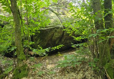Trail Walking Videlles - Videlles - Exploration d'un chaos rocheux au hameau 