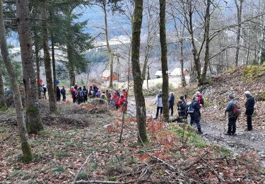 Tocht Stappen Le Syndicat - Syndicat - Photo