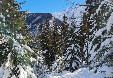 Tocht Sneeuwschoenen Pralognan-la-Vanoise - Pralognan: La Corniche 8 - Photo