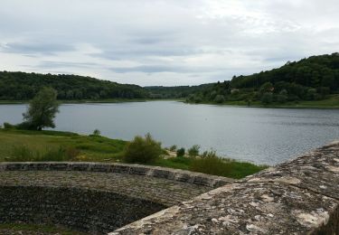 Randonnée Vélo de route Langres - Tour des 4 lacs de Langres - Photo