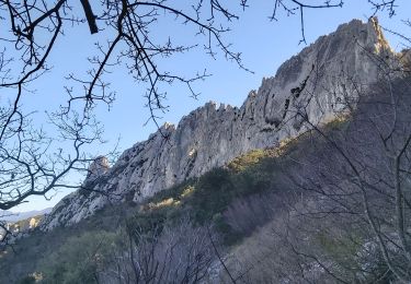 Excursión Senderismo Gigondas - Dentelles de Montmirail - Photo