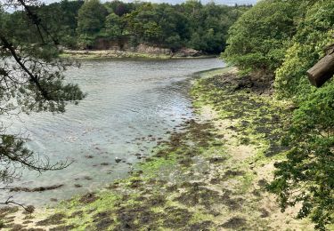 Trail Walking Concarneau - Concarneau  - Photo