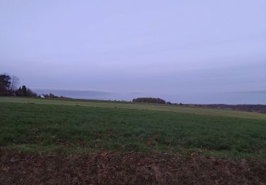 Randonnée Marche nordique Chaumont-Gistoux - au hasard de Carole dion le train  - Photo